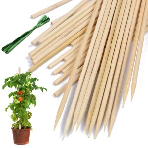 bamboo plant stakes,hainanstry wood plant supports,natural bamboo sticks for plants/floral/potted plant,wooden sign posting garden sticks - 18 inches 25 pack