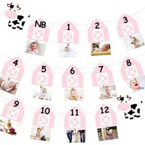 cow 12 month photo banner 1st birthday party decoration one cake smash pink farmhouse animal photo backdrop supplies