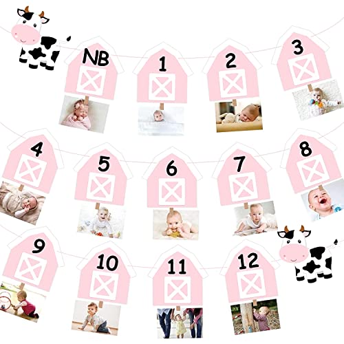 Cow 12 Month Photo Banner 1st Birthday Party Decoration One Cake Smash Pink Farmhouse Animal Photo Backdrop Supplies