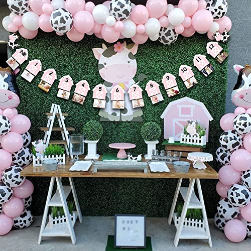 Cow 12 Month Photo Banner 1st Birthday Party Decoration One Cake Smash Pink Farmhouse Animal Photo Backdrop Supplies