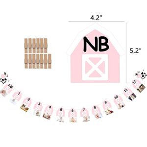 Cow 12 Month Photo Banner 1st Birthday Party Decoration One Cake Smash Pink Farmhouse Animal Photo Backdrop Supplies