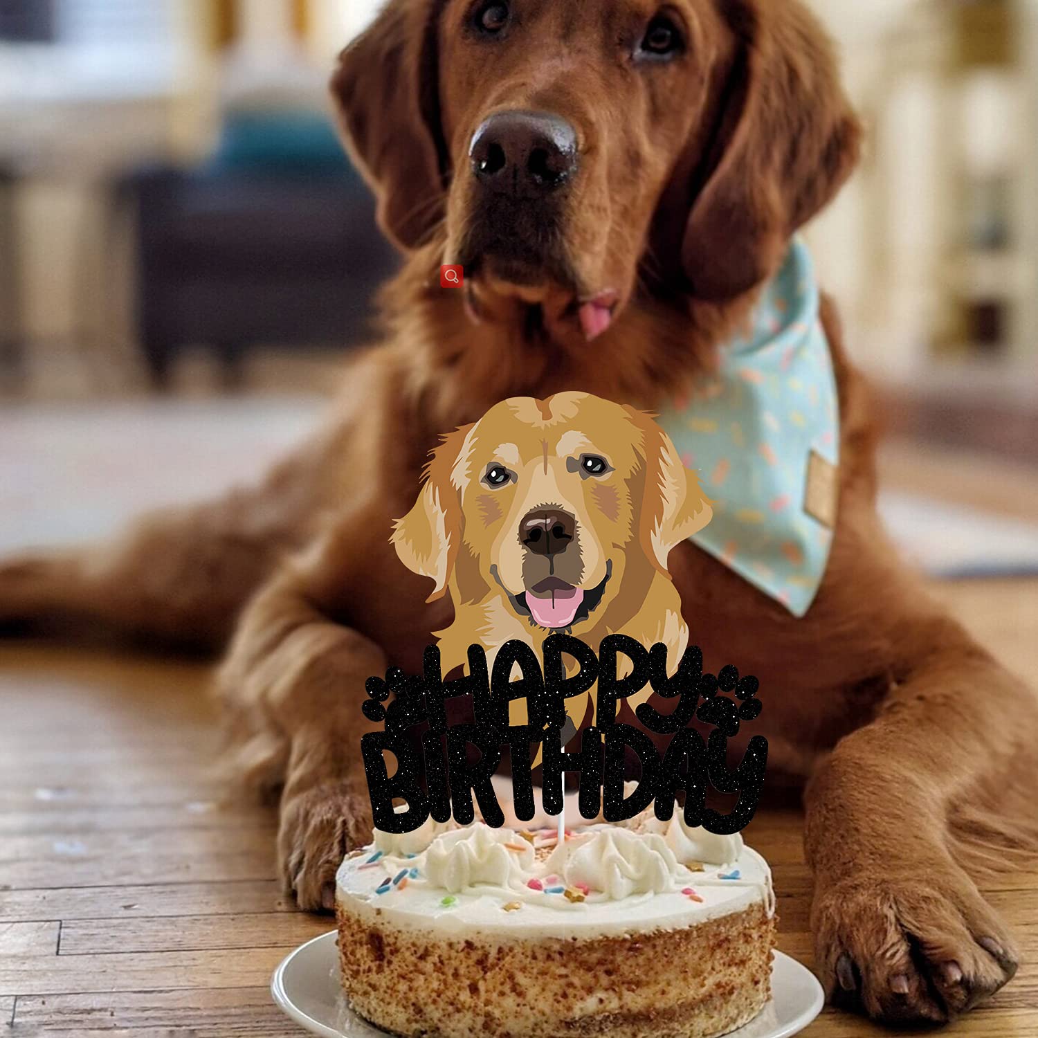 Dog Cake Topper - Golden Retriever Theme Happy Birthday party Decortaons - Labrador family gathering Decortaons