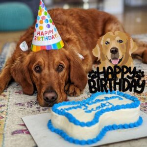 Dog Cake Topper - Golden Retriever Theme Happy Birthday party Decortaons - Labrador family gathering Decortaons