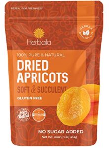 dried apricots no sugar added, 1 pound. dried apricots unsweetened, turkish apricots dried fruit, dry apricot bulk, all natural, non-gmo.