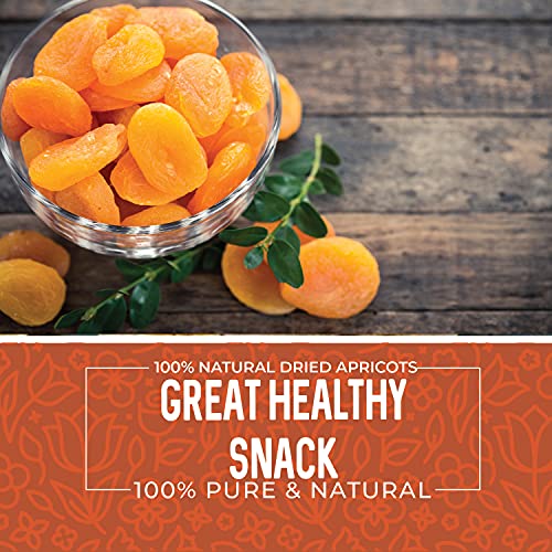 Dried Apricots No Sugar Added, 1 Pound. Dried Apricots Unsweetened, Turkish Apricots Dried Fruit, Dry Apricot Bulk, All Natural, Non-GMO.