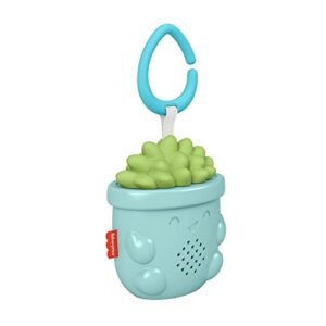 fisher-price portable baby sound machine soothe & go succulent with customizable music & timers for newborns