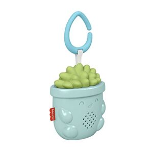 Fisher-Price Portable Baby Sound Machine Soothe & Go Succulent with Customizable Music & Timers for Newborns