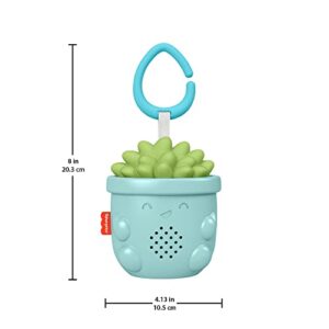 Fisher-Price Portable Baby Sound Machine Soothe & Go Succulent with Customizable Music & Timers for Newborns