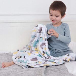 BORITAR Baby Blanket for Unisex 2 Pack Super Soft Minky with Double Layer Dotted Backing, Little Grey Arrows Printed 30 x 40 Inch, Receiving Blankets
