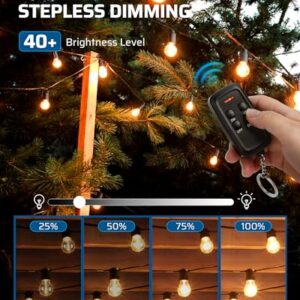 DEWENWILS Outdoor Dimmer for String Lights, 125V Dimmer Switch with 100FT Control Range, Weatherproof Outdoor Dimmer Plug for Dimmable LED/Tungsten Bulbs, FCC Listed