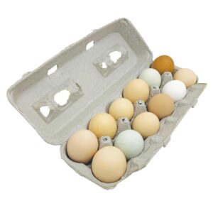 stromberg's large blank egg cartons, bulk pack for large eggs, perfect for custom branding, safe & secure egg storage, convenient stacking for easy transport and storage, 250 pack