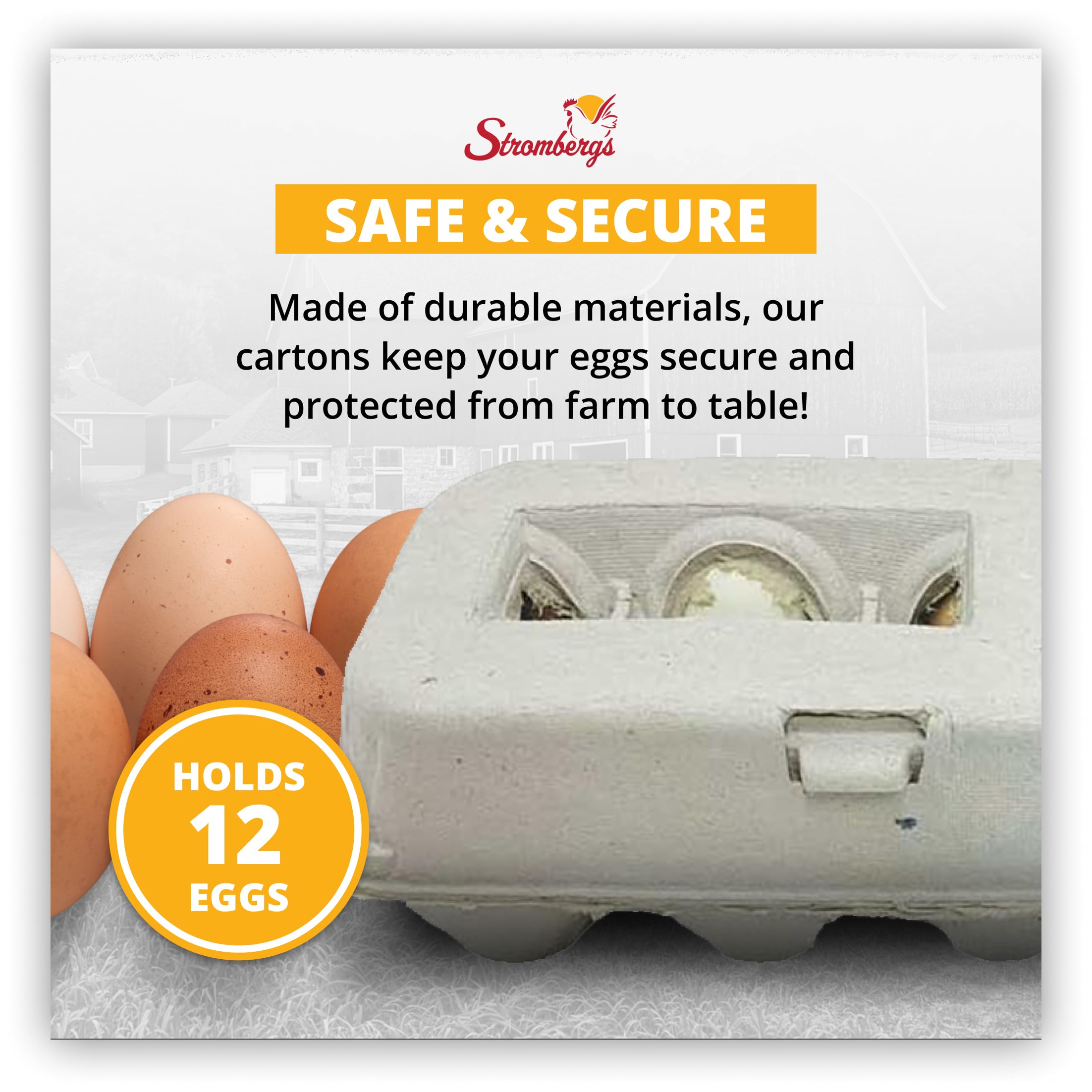 Stromberg's Large Blank Egg Cartons, Bulk Pack for Large Eggs, Perfect for Custom Branding, Safe & Secure Egg Storage, Convenient Stacking for Easy Transport and Storage, 250 Pack