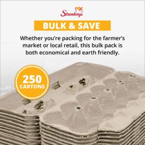 Stromberg's Large Blank Egg Cartons, Bulk Pack for Large Eggs, Perfect for Custom Branding, Safe & Secure Egg Storage, Convenient Stacking for Easy Transport and Storage, 250 Pack