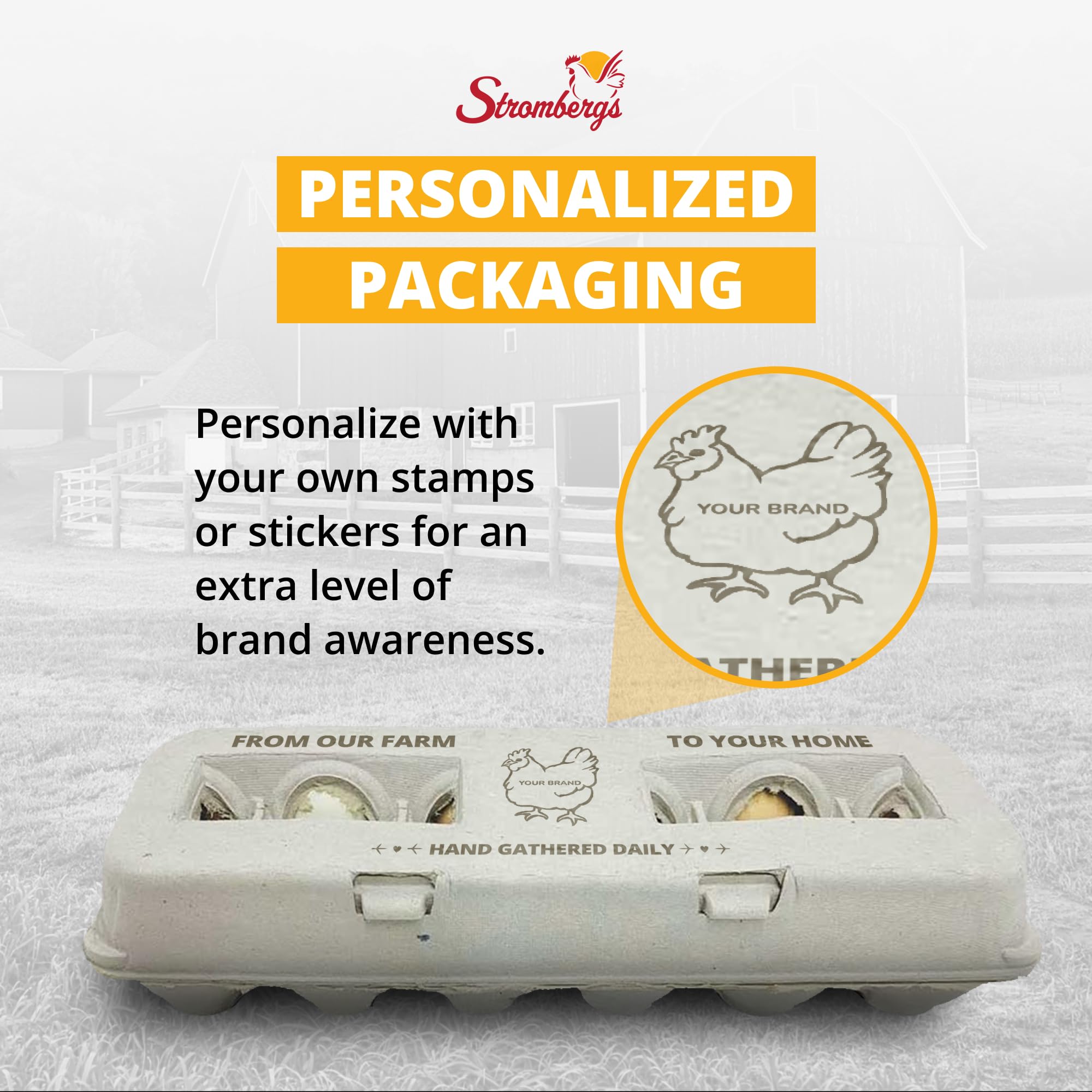 Stromberg's Large Blank Egg Cartons, Bulk Pack for Large Eggs, Perfect for Custom Branding, Safe & Secure Egg Storage, Convenient Stacking for Easy Transport and Storage, 250 Pack