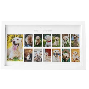 green pollywog | my first year picture frame for dogs | 12 month photo frame | white wood frame | fur baby frame | fur baby milestone picture display | dog keepsake frame | dog birthday gift