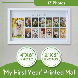 Green Pollywog | My First Year Picture Frame for Dogs | 12 Month Photo Frame | White Wood Frame | Fur Baby Frame | Fur Baby Milestone Picture Display | Dog Keepsake Frame | Dog Birthday Gift