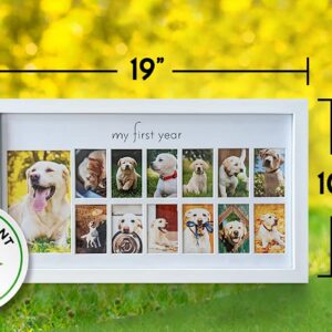 Green Pollywog | My First Year Picture Frame for Dogs | 12 Month Photo Frame | White Wood Frame | Fur Baby Frame | Fur Baby Milestone Picture Display | Dog Keepsake Frame | Dog Birthday Gift