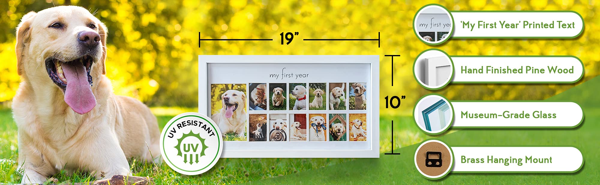 Green Pollywog | My First Year Picture Frame for Dogs | 12 Month Photo Frame | White Wood Frame | Fur Baby Frame | Fur Baby Milestone Picture Display | Dog Keepsake Frame | Dog Birthday Gift