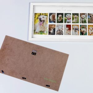 Green Pollywog | My First Year Picture Frame for Dogs | 12 Month Photo Frame | White Wood Frame | Fur Baby Frame | Fur Baby Milestone Picture Display | Dog Keepsake Frame | Dog Birthday Gift