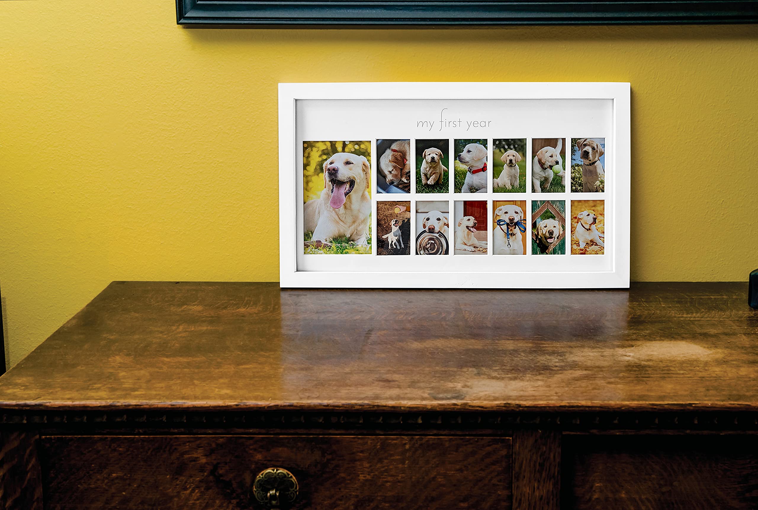 Green Pollywog | My First Year Picture Frame for Dogs | 12 Month Photo Frame | White Wood Frame | Fur Baby Frame | Fur Baby Milestone Picture Display | Dog Keepsake Frame | Dog Birthday Gift