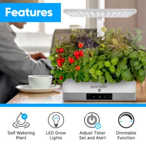 Hydroponic Herb Garden 6 Pods, Indoor Herb Garden Kit, Seed Pod, Indoor Garden, Full-Spectrum Grow Light, Adjustable Height, Hydroponic Indoor Garden, Smart Indoor Plant system