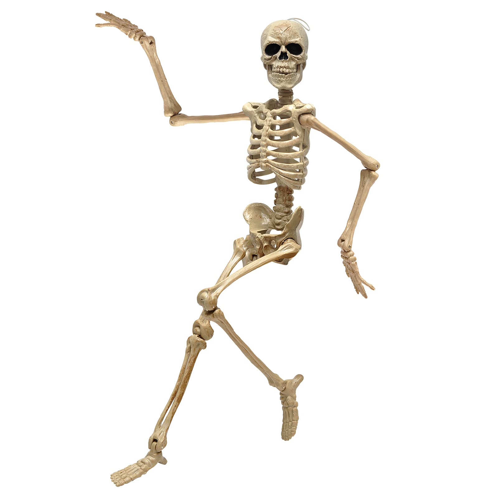 e Crafty 16" Halloween Skeleton,Full Body Skeleton with Posable Movable Joints for Haunted House Props Decorations