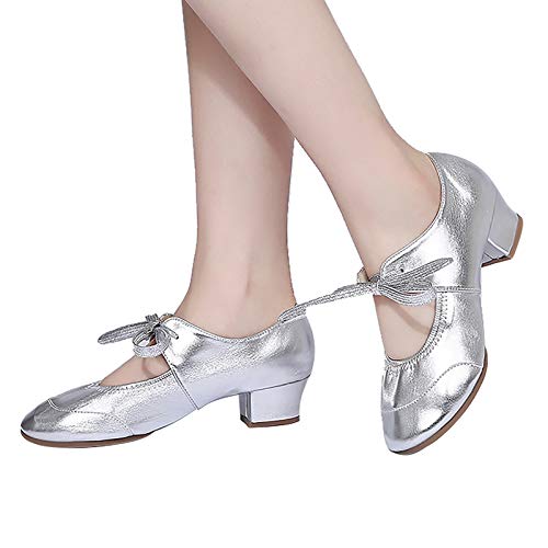 Women's Dance Shoes Fashion Shallow Soft Sole Shoes Modern Dance Latin Dance Square Low Top Shoes Silver