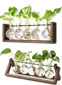 mkono plant terrarium with wooden stand, wall hanging glass planter desktop glass bulb vase retro wooden holder for propagating hydroponics plants pothos home office garden decor