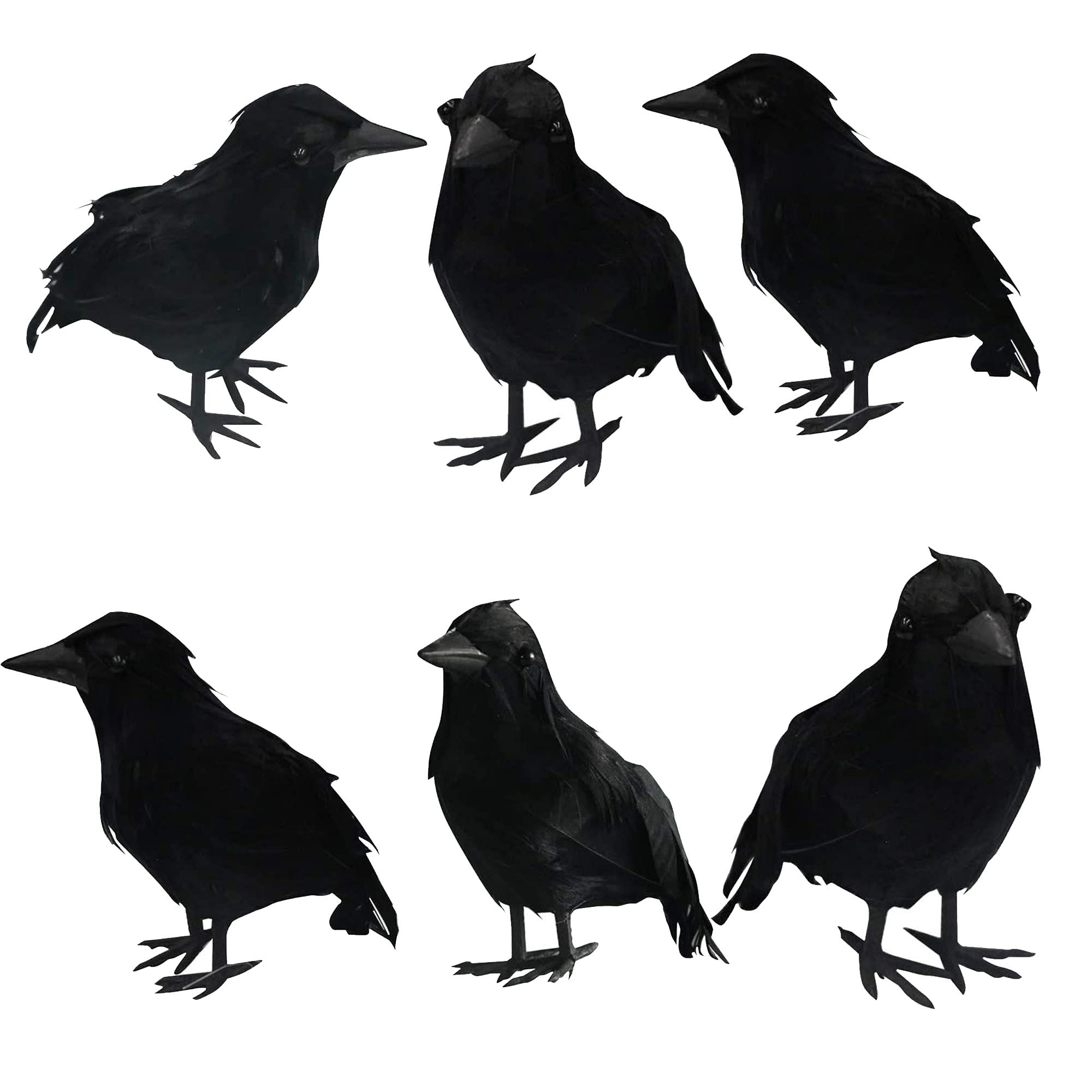 Dazzle Bright 6Pack Halloween Black Feathered Crows Decor, Holiday Decoration for Indoor Outdoor Home Yard Garden Party Carnival Supplies