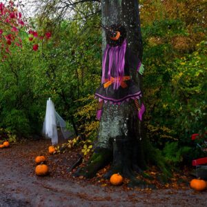 BABYLIAN 54.3" Large Crashing Witch Into Tree,Halloween Haunted Yard or House Prop Decoration, Halloween Party Supplies for Indoor Outdoor Patio Lawn Garden Decor