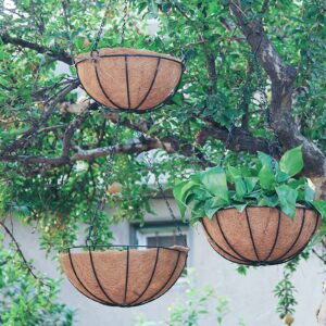 EIMQUVW 4 Pack Hanging Planter Basket with Coco Coin Liner 8 inch Hanging Flower Pots Outdoor Decorative Round Wire Plant Holder with Chain Metal Hanging Baskets for Plants Outdoor