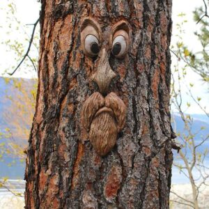 eiiorpo tree faces decor outdoor,tree face outdoor statues old man tree hugger bark ghost decoration funny yard art garden decorations for halloween easter creative props.(b)