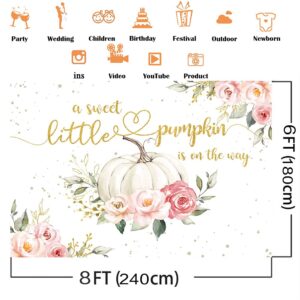 Avezano Pumpkin Baby Shower Backdrop 8x6ft Pink Floral Fall Pumpkin Baby Shower Party Decorations Banner Autumn Little Pumpkin is on The Way Background Photoshoot Booth Studio Props