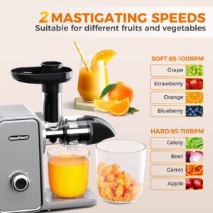 IWODTECH Juicer Machine, Cold Press Juicer with 2 Speed Modes, Slow Masticating Juicer Vegetable and Fruit, Celery Juicer, BPA-Free, Easy to Clean, Galaxy Grey