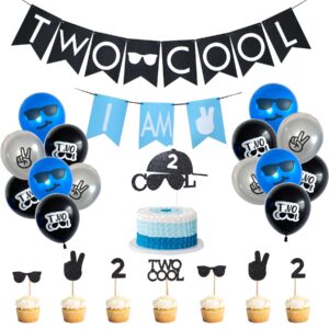 two cool birthday party decorations supplies, two cool banner cake topper, i am two banner, two cool balloons for little man sunglasses 2nd birthday boy party supplies decoration