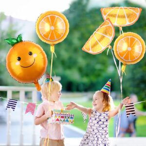 Gejoy 10 Pieces Citrus Balloons Orange Fruit Balloons Cartoon Fruit Aluminum Foil Balloons Jumbo Birthday Tangerine Balloons for Baby Shower Summer Citrus Themed Boy Girl Birthday Party Decor Supplies