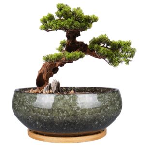 epfamily 8 inch ceramic bonsai planter pot, glazed shallow succulent planter with drainage hole and bamboo saucer for indoor plants, green