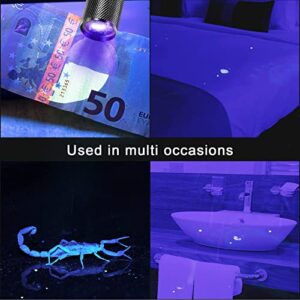 Roceei 10 Pieces UV Blacklight Flashlights, LED Light, Handheld, Mini Light Torch Detector, Portable UV Flashlight Torch for Pets Stains Urine (Purple Light)