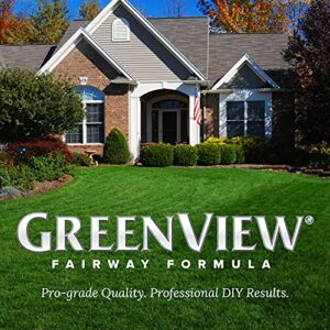 Greenview 2129861 Fairway Formula Fall Fertilizer - 45 lb - Covers 15,000 sq. ft., Multi