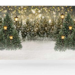 Kate 10×10ft Christmas Tree Bokeh Photo Backdrop Street Lamp Deco Glitter Interior Photography Background for Xmas Photographer Photo Studio Props