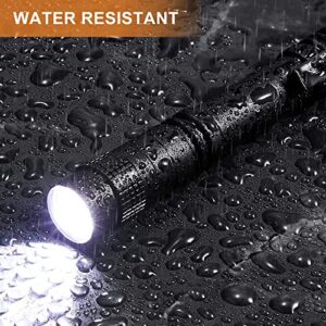 10 Pieces Mini Small LED Flashlight Handheld Pen Light Flashlight with Clip Led Pen Pocket Light Torch for Camping Outdoor Emergency Diary Lighting (3.5 Inches)