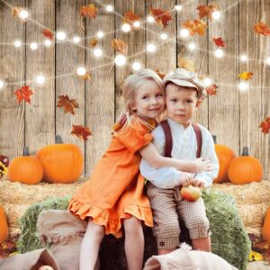 Leowefowa 7x5ft Fall Thanksgiving Halloween Photo Backdrop Fall Backdrops for Photography Autumn Pumpkin Harvest Barn Background Friendsgiving Party Supplies Farm Harvest Banner Decor Photo Booth Prop