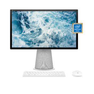 HP Chromebase 21.5" All-in-One Desktop, Intel Pentium Gold 6405U Processor, 4 GB RAM, 64 GB Storage, Rotating Full HD IPS Touchscreen, Chrome OS, Bluetooth Keyboard and Mouse Combo (22-aa0012, 2021)
