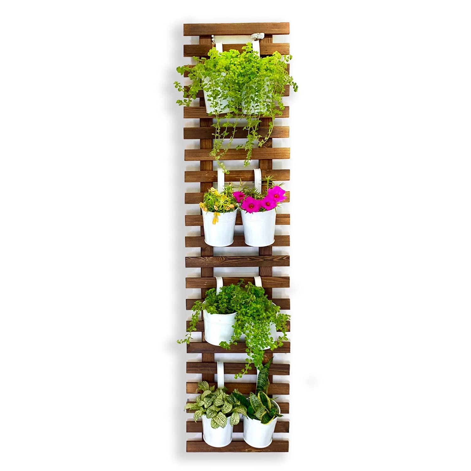 ShopLaLa Bundle - 4 Inch White Metal Flower Pots + Wooden Plant Holder, Vertical Garden Planter, Live Plant Wall System Outdoor Wall Mounted Planter, Hanging Herbs Planters, Green Wall Decoration