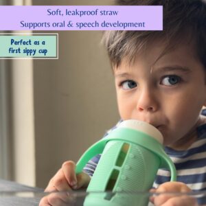 The Minis - Set of 2 - Glass Sippy Cup for Toddlers - 5oz | Spill-Proof | Silicone Straw | Mint Green & Indigo Purple | Liquids Never Touch Plastic