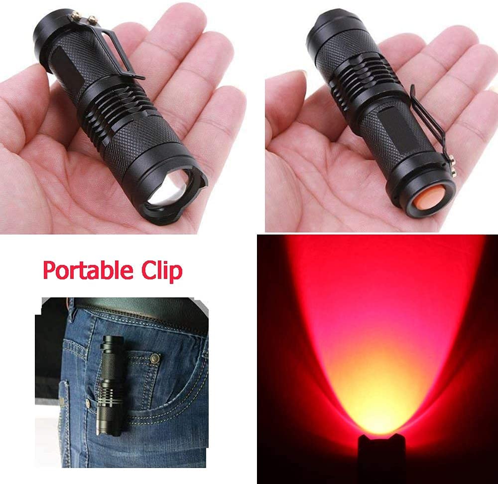 WAYLLSHINE (Pack of 4 Single Mode Red Light Flashlight, 1 Mode Red LED Flashlight Red Flashlight Torch, Red LED Red Light for Astronomy, Aviation, Night Observation