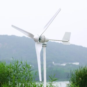 ninilady 2000w horizontal wind turbine with hybrid controller inverter 24v 48v 96v wind generator free energy (24v, with hybrid mppt controller)