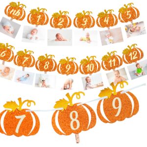 pumpkin 1st birthday photo banner orange and gold glitter, pumpkin patch baby monthly new born garland 12 month little pumpkin first themed decorations baby thanksgiving party milestone fall photo