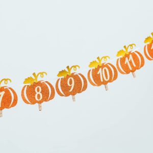 Pumpkin 1st Birthday Photo Banner Orange and Gold Glitter, Pumpkin Patch Baby Monthly New Born Garland 12 month Little Pumpkin First Themed Decorations Baby Thanksgiving Party Milestone Fall Photo