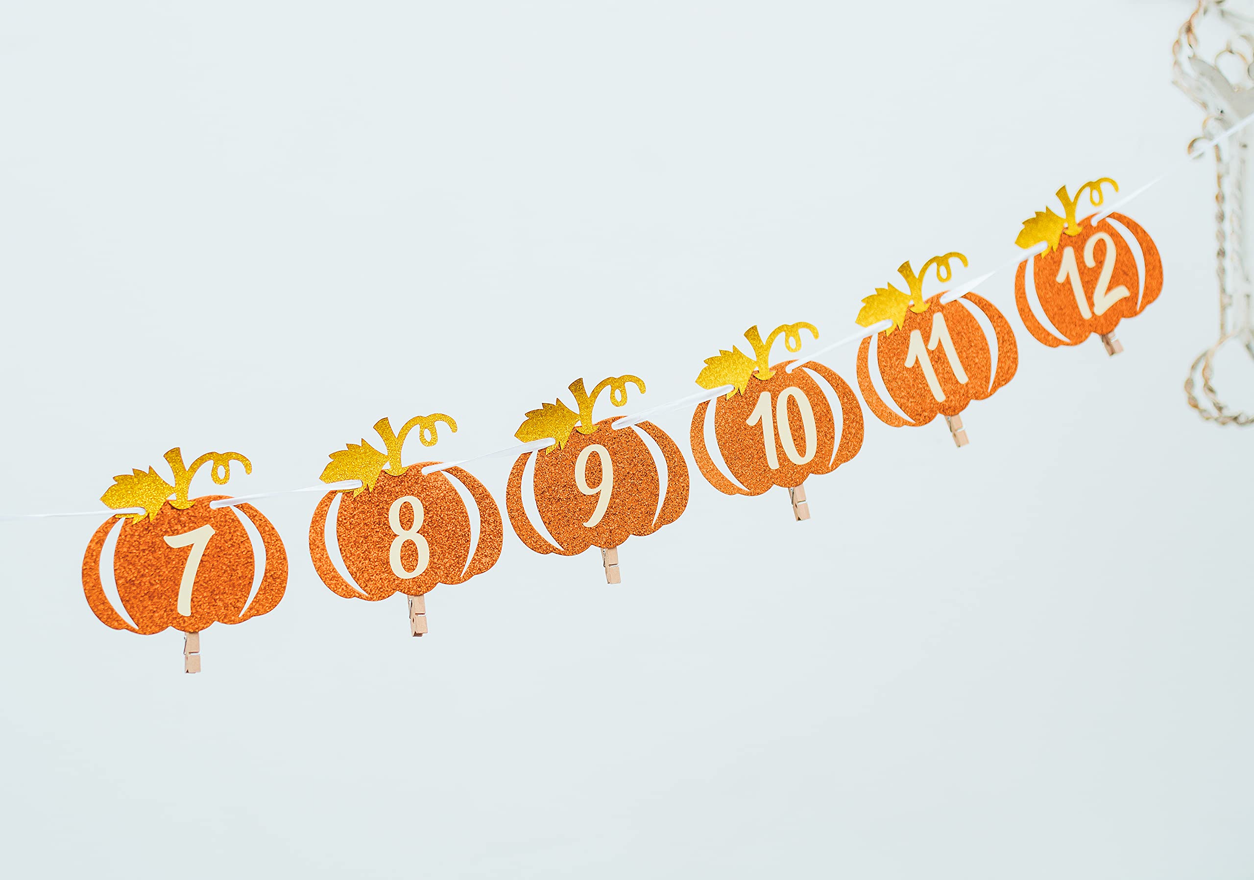 Pumpkin 1st Birthday Photo Banner Orange and Gold Glitter, Pumpkin Patch Baby Monthly New Born Garland 12 month Little Pumpkin First Themed Decorations Baby Thanksgiving Party Milestone Fall Photo